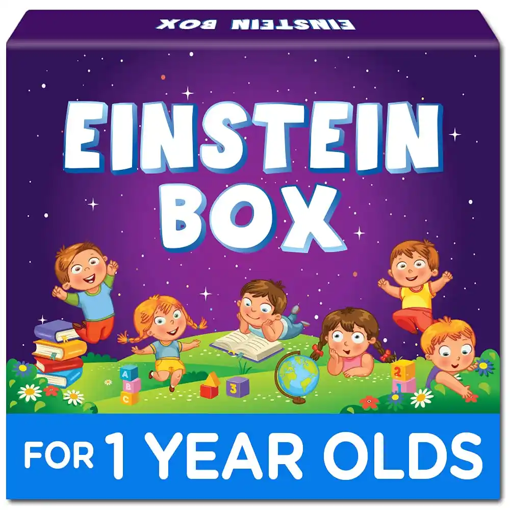 Einstein Box for 1 Year Old Boys - एक साल के लड़के के लिए खिलौने